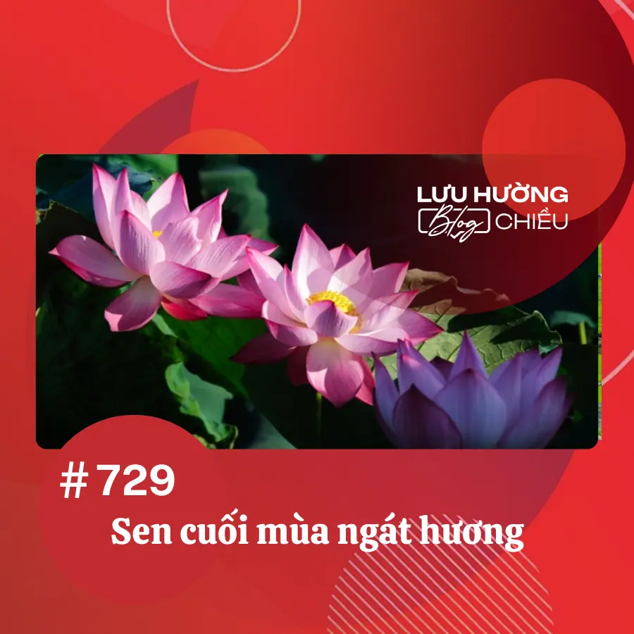 Sen cuối mùa ngát hương